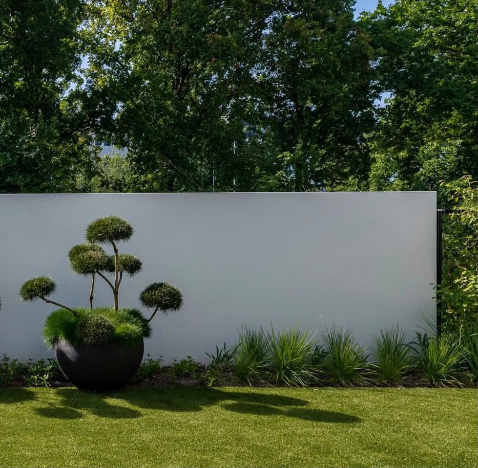 Sierboom in strakke designpot